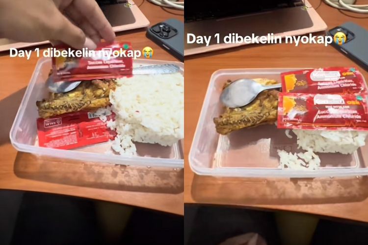 Sekali lagi menyenangkan untuk dimakan, gadis ini bingung mengapa saus dalam makan siangnya ternyata menjadi obat batuk