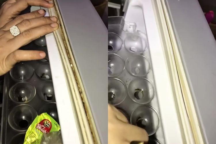 Karet pintu kulkas berjamur tidak lagi menjadi masalah! Cobalah cara praktis ini untuk mengembalikan kilau